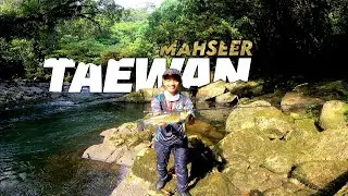 casting mahseer sungai taewan bikin betah mancing mahseer disini | Anum Fisher™