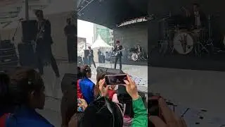 Show must go on