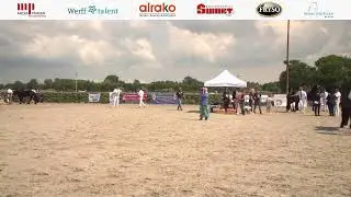 Fokdag | Fokvereniging het Friesche Paard Noord- en Zuid-Holland | 27 juli 2024