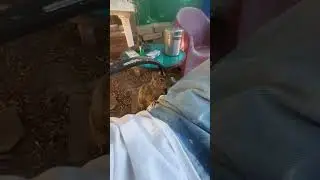 Squirell getting friendly Friday October 6th, 2023