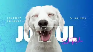 The most hilarious and heartwarming Uber/Lyft passenger conversations