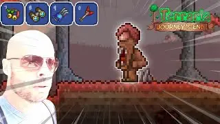 In Terraria Just Hanging out...