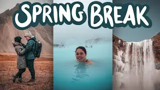 the most chaotic spring break trip