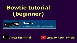 Bowtie tutorial || beginner ||
