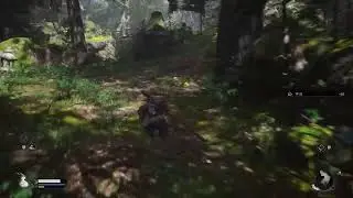 Bm wukong