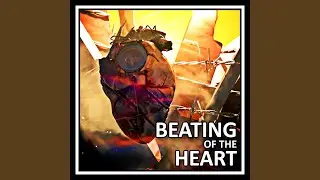 Beating of the Heart