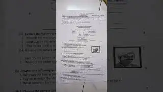 class 8 history paper