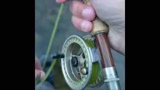 You Won't BELIEVE The Honey Hole I Found!!