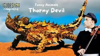 Thorny Devil by Aleksey Igudesman