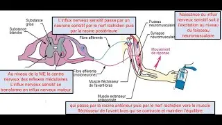 correction exercices pour les 3AC du collège