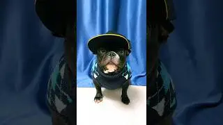 Поздравляю с 23 февраля!!!