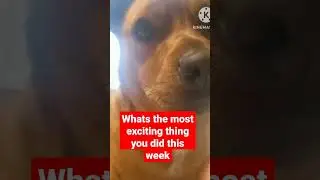What's the most exciting thing you did this week 