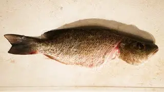 How To Clean A Fish For Whole Fish Recipes