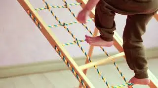 KIDWOOD  Березка