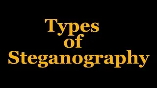 Types of Steganography