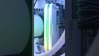 The Lexar Ares RGB DDR5 is GORGEOUS 😍 #lexar #lexarmemory #aresddr5 #pc #pcgaming  #computerbuilding