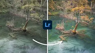 Editing con i Preset su Lightroom