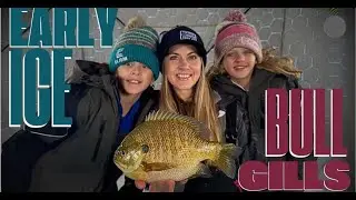 Early Ice BLUEGILLS