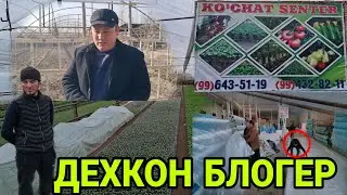 ДЕХКОН БЛОГЕР ТЕЗ КУРИНГ (охунов тв)