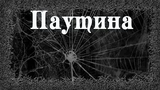 Истории на ночь: Паутина