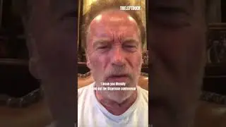 Arnold Schwarzenegger Bashes Trump For Putin Conference 