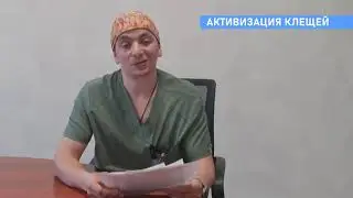 Период активизации клещей