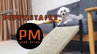 Making a puppy stairs / with the ingredients you have at home