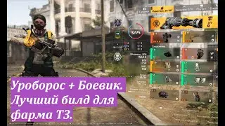 Tom Clancy's The Division 2 Уроборос + Боевик. Лучший билд для фарма ТЗ (Темной зоны) 2023