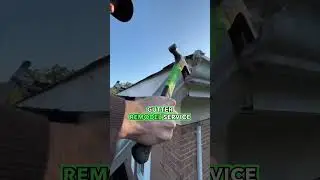 gutter service