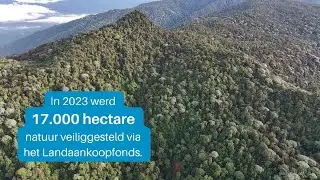 Met uw steun werd 17.000 hectare natuur beschermd