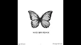 The Age Of Love - NiKo (BR) Remix