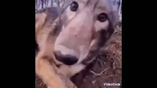 ааааааааа