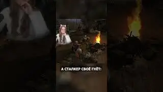 ВНИМАНИЕ АНЕКДОТ S.T.A.L.K.E.R.