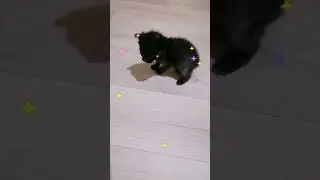 Малышка Афина так быстро растет 
