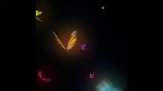 Butterfly Overlay for edit