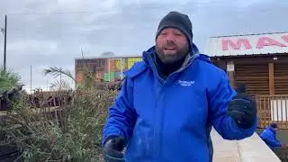 SeaWorld | Cold Stunned Turtle Rescue Update