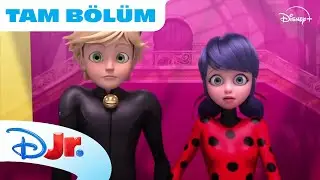 Mucize: Uğur Böceği ile Kara Kedi I 2. Sezon 15. Bölüm - TAM BÖLÜM 🚀 I @DisneyPlusTR