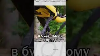 Робот-пес для догляду за рослинами  #фермер #агро #агроновини #barolo