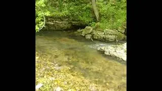 My front yard