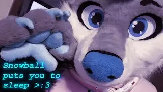 [Furry ASMR] Snowball puts you to sleep uwu (talking, mouth sounds)