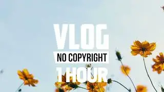 [1 Hour] - Lichu - Mocktail [Vlog No Copyright Music]