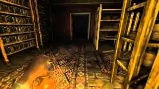 Amnesia: Dark Descent #2