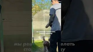 Начало нашего проекта 😎 #стройка #своимируками #лайф