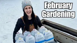 🌸 Winter sowing milk jugs with flower seeds 🌺 🌻 🌷 PLANT WITH ME!
