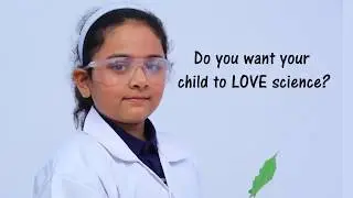 School Introduction