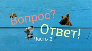 Вопрос-ответ (2 часть)