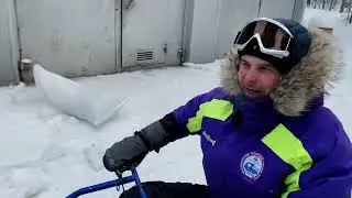 Тур на собачьих упряжках