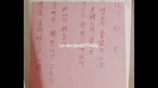 Kim Guiline 김기린 : Undeclared Fields