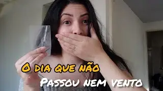 DESCOBRINDO A GESTAÇÃO