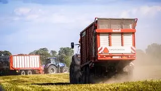 Sianokiszonka 2021 GR. Majchrzycki